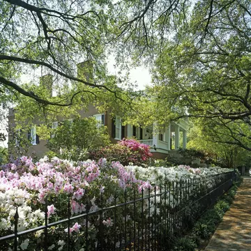Springtime in Natchez.jpg