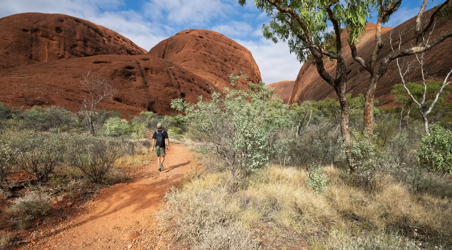 Hiker walking red dirt trail toward massive domes of Kata Tjuta, Australia