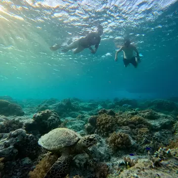 Two snorkellers float at the sunlit surface above a sea turtle on a rocky coral reef in clear turquoise water.