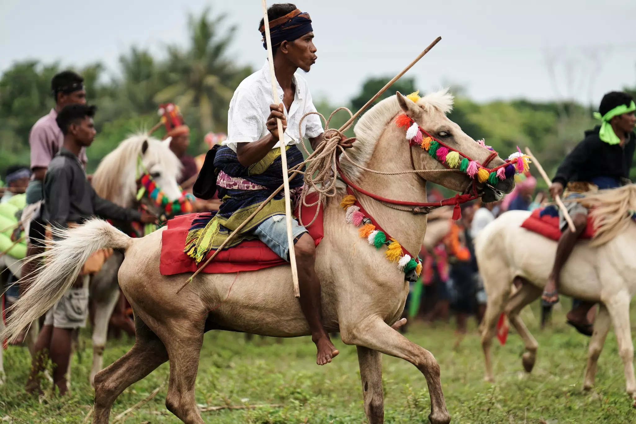 Horsemen and flying spears at the annual festival of Pasola in Sumba, East Nusa Tenggara, Indonesia