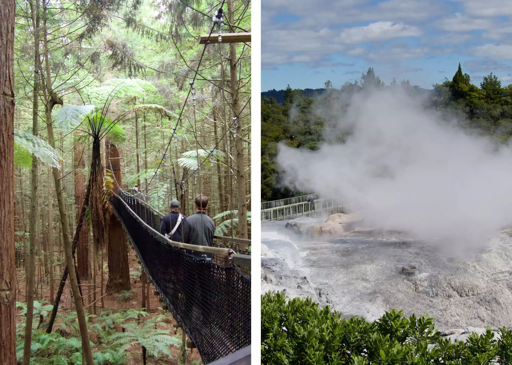 Collage for "Our editors' favorite cameras for travel"

Left: Redwood Tree walk in Rotorua, New Zealand. Right: Geysers in Te Puia. Melissa Yeager/Lonely Planet (2)