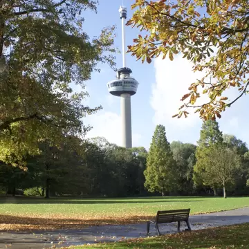 View of the Euromast framed by autumnal foliage on a sunny day in Rotterdam.