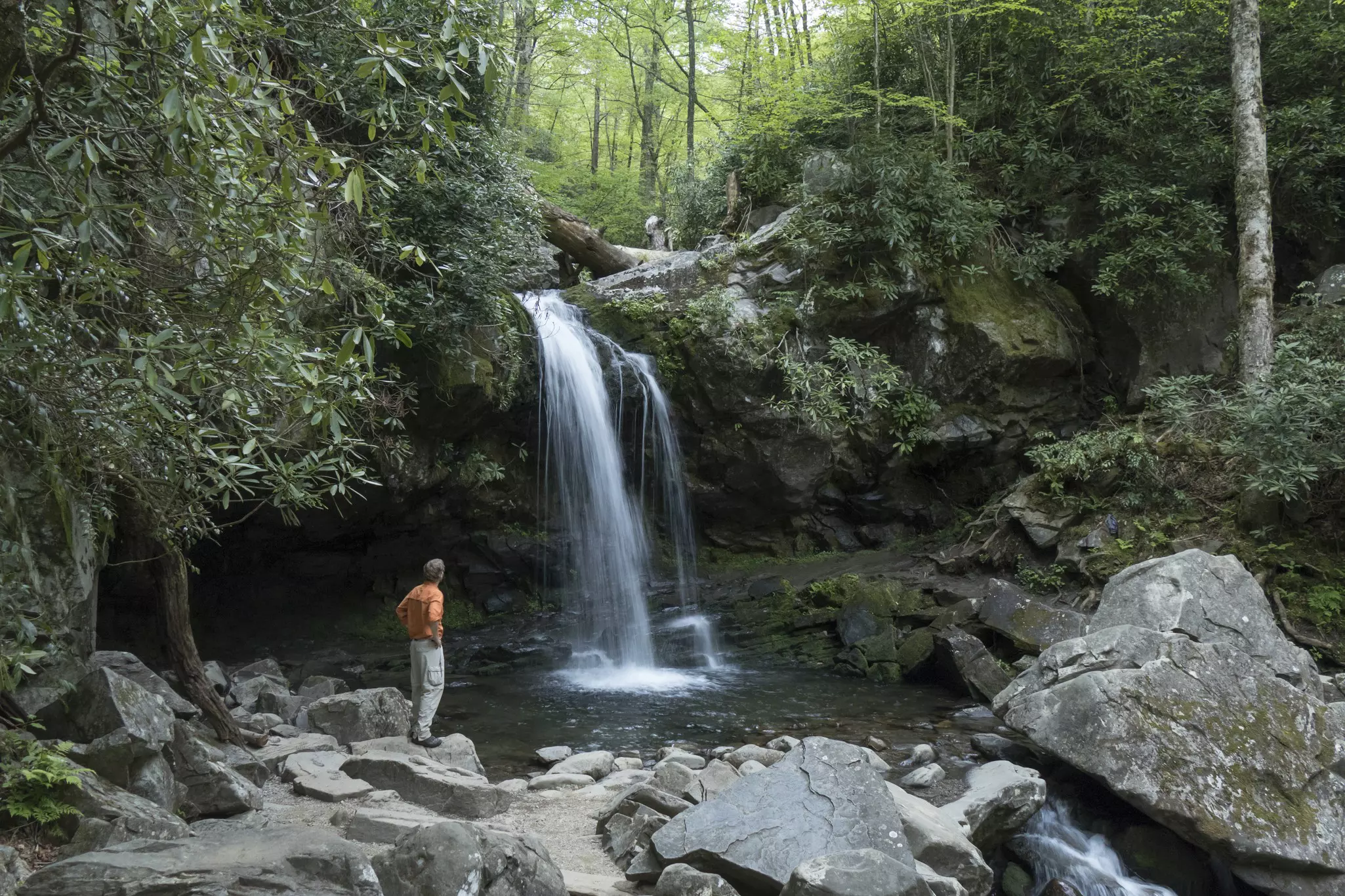 Great Smoky Mountains National Park in Tennessee is a great place to explore © milehightraveler / Getty Images