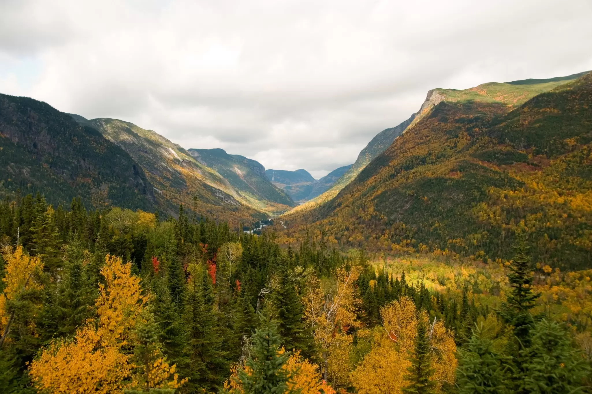 A huge valley covered in forest in fall.