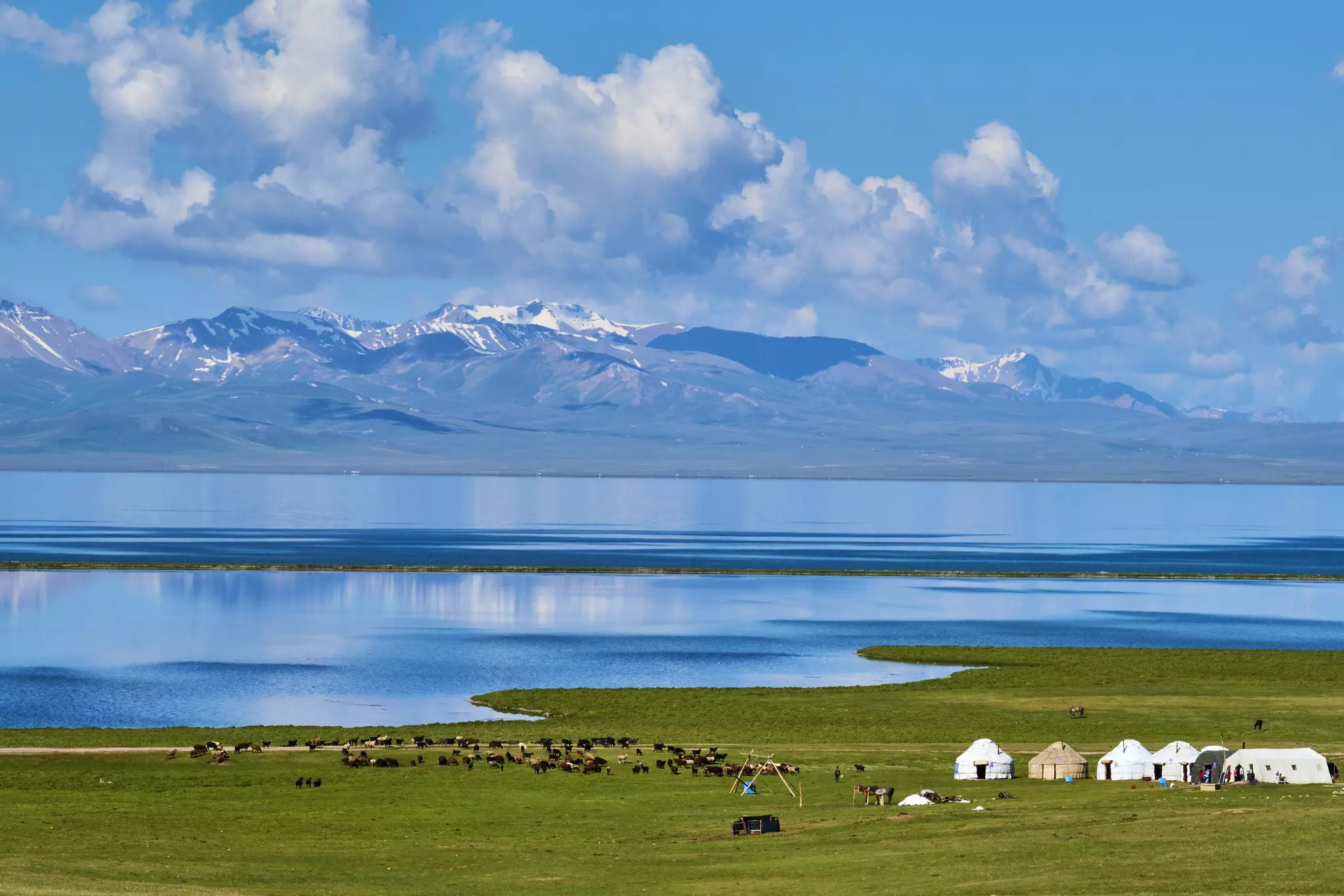A row of six yurts and some livestock grazing by a lake in a mountain region