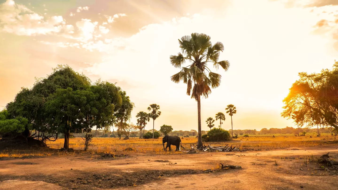 Plan a trip to the small southeast African country of Malawi with this guide for first-time visitors.  Robin Bruyns/Shutterstock