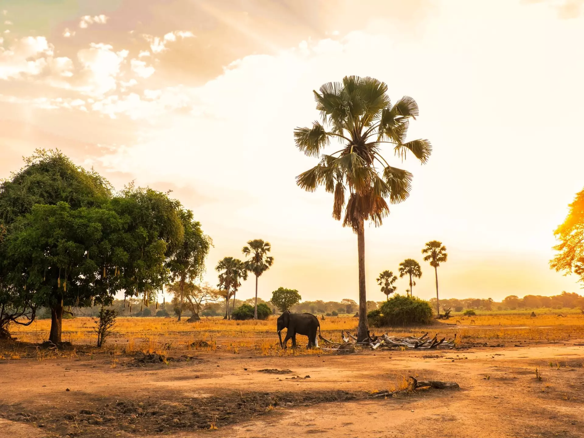 Plan a trip to the small southeast African country of Malawi with this guide for first-time visitors.  Robin Bruyns/Shutterstock