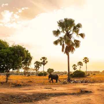 Plan a trip to the small southeast African country of Malawi with this guide for first-time visitors.  Robin Bruyns/Shutterstock