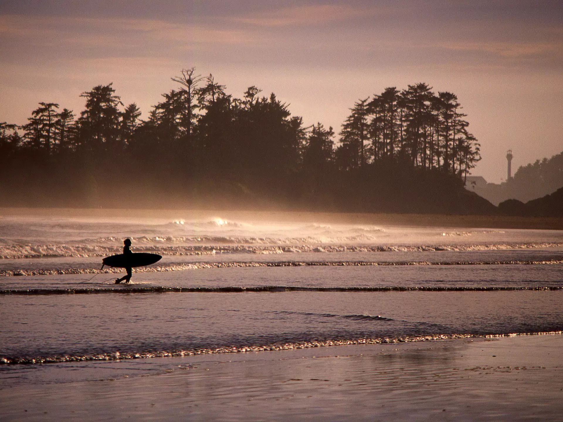 Silhouette Surfer Walking On Calm Beach
660583519
Adult; Adults Only; Aquatic Sport; Beach; Idyllic; Tofino; Canada; Men; Tranquil Scene; Tranquility; Tree; Coastline; Color Image; Nature; One Man Only; One Person; Only Men; Remote; Water; Day; Escapism; Hobbies; Horizontal; Outdoors; Outline; Pacific Ocean; People; Photography; Sea; Shore; Side View; Silhouette; Sky; Solitude;