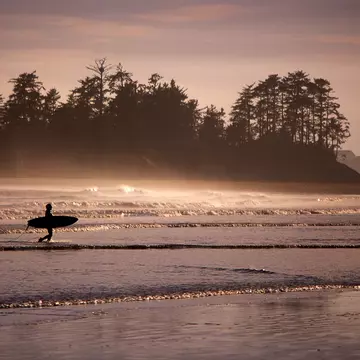Silhouette Surfer Walking On Calm Beach
660583519
Adult; Adults Only; Aquatic Sport; Beach; Idyllic; Tofino; Canada; Men; Tranquil Scene; Tranquility; Tree; Coastline; Color Image; Nature; One Man Only; One Person; Only Men; Remote; Water; Day; Escapism; Hobbies; Horizontal; Outdoors; Outline; Pacific Ocean; People; Photography; Sea; Shore; Side View; Silhouette; Sky; Solitude;