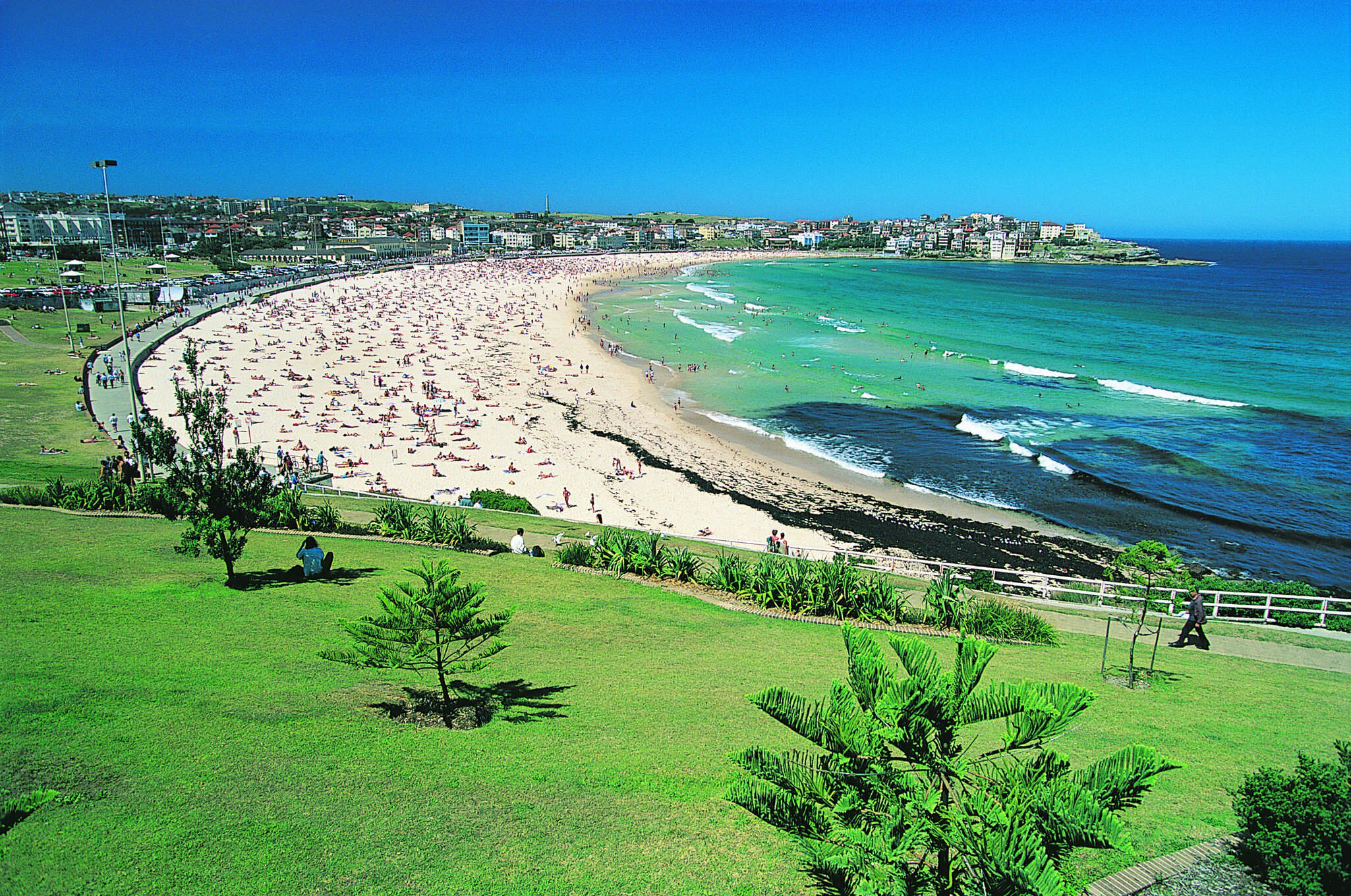 Bondi Beach, New South Wales, Australia