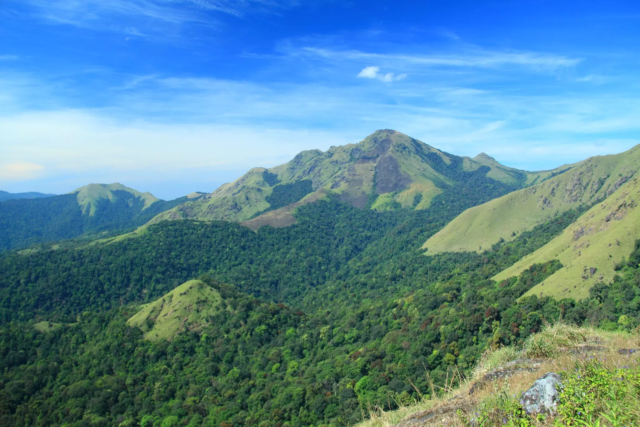 Mount Tadiandamol, Coorg, Karnataka, India