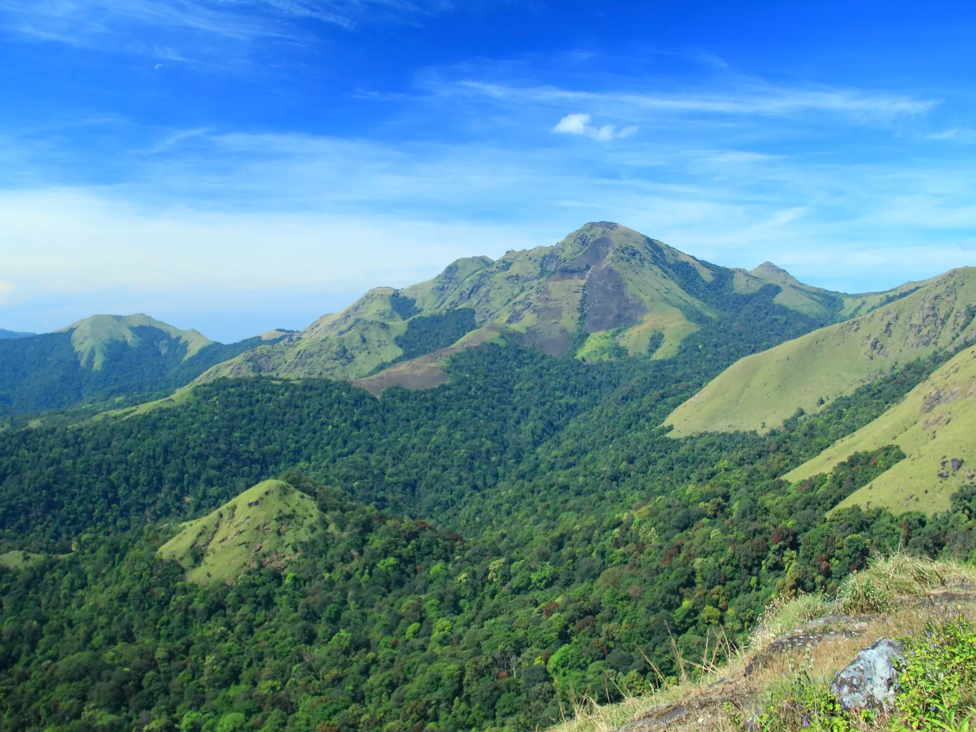 Mount Tadiyandamol (1748m) is the highest point in karnataka. ©Mark Hollowell/Getty Images