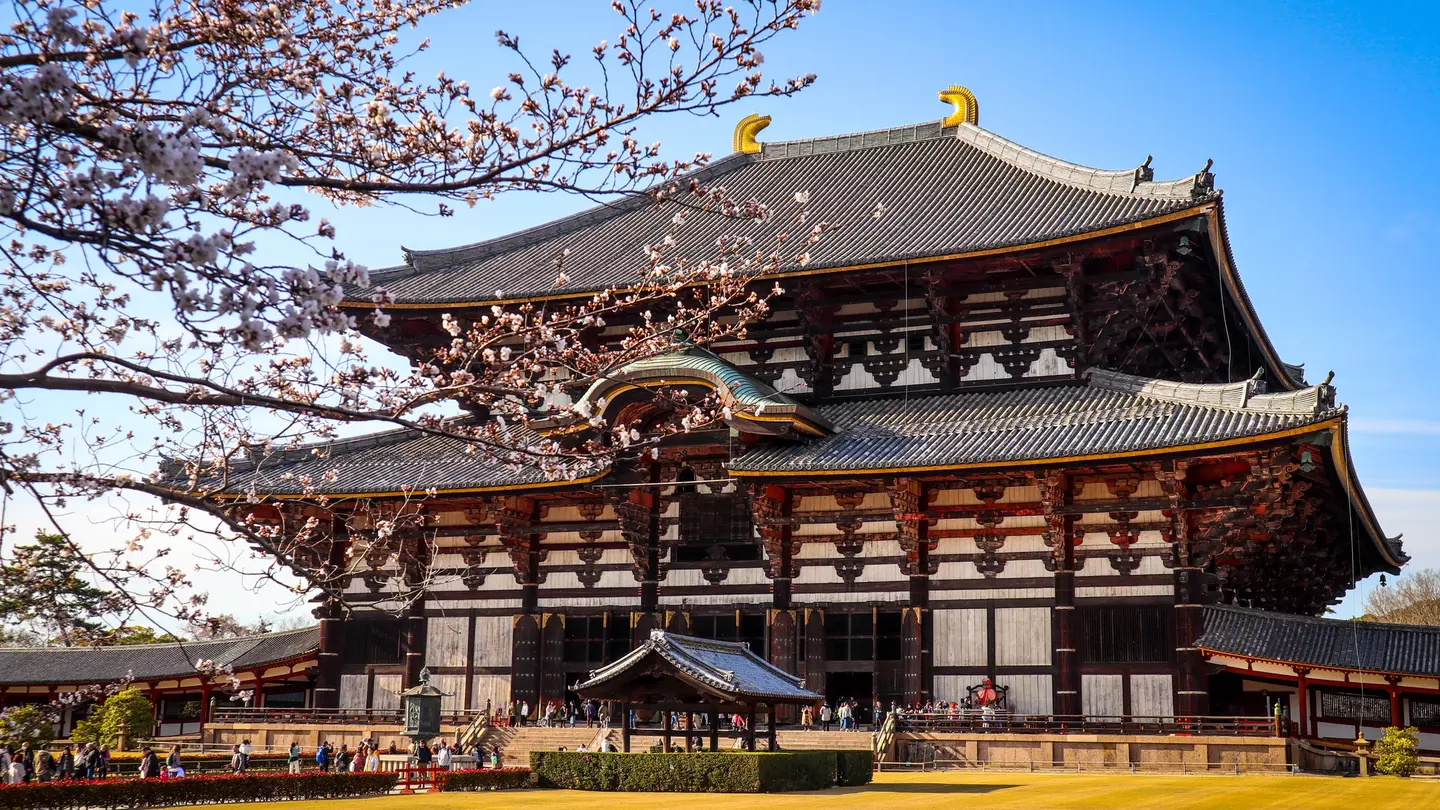 The wooden hall of the Todai-ji Daibutsu-den in Nara, Japan.