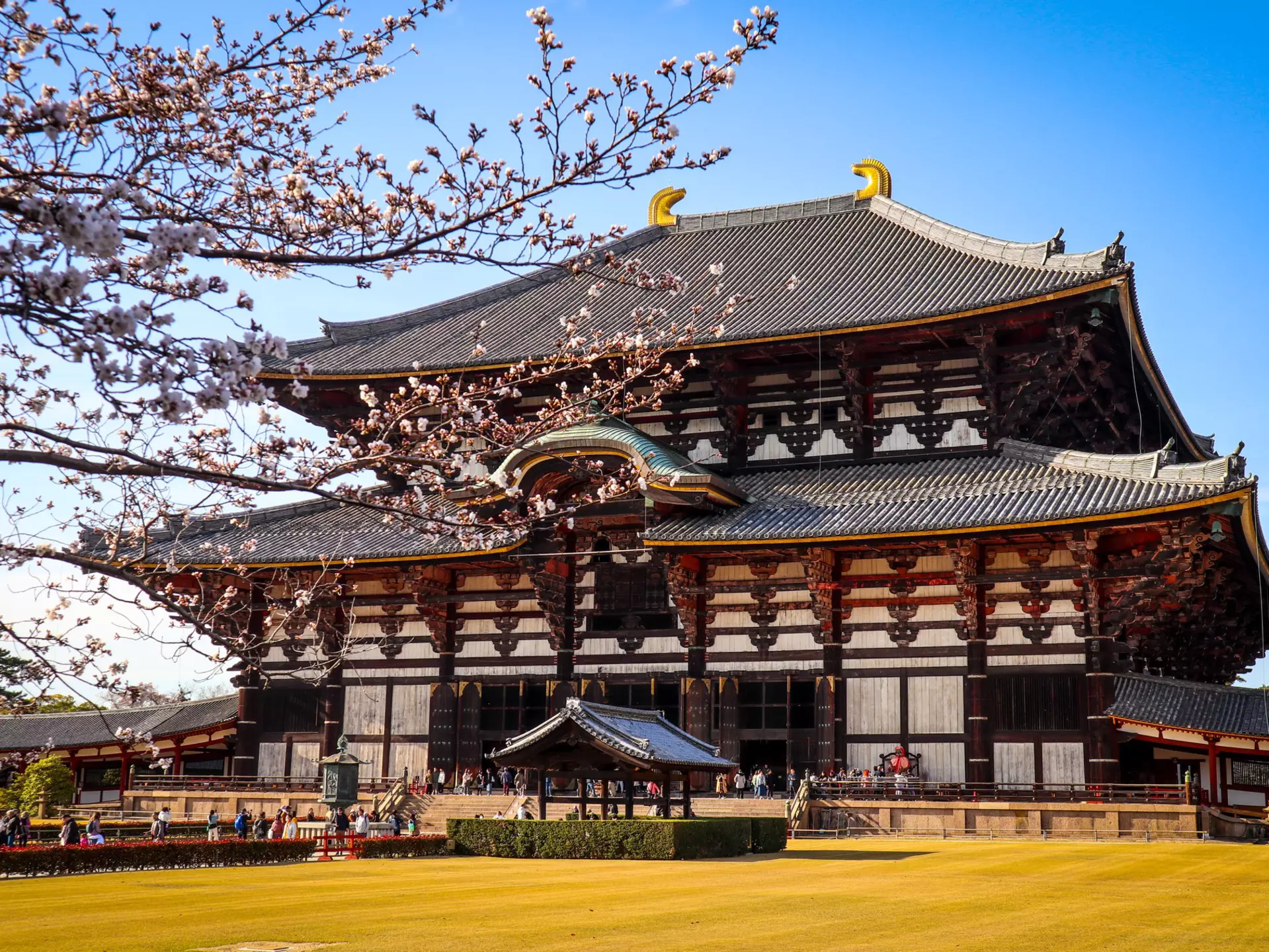 The wooden hall of the Todai-ji Daibutsu-den in Nara, Japan.