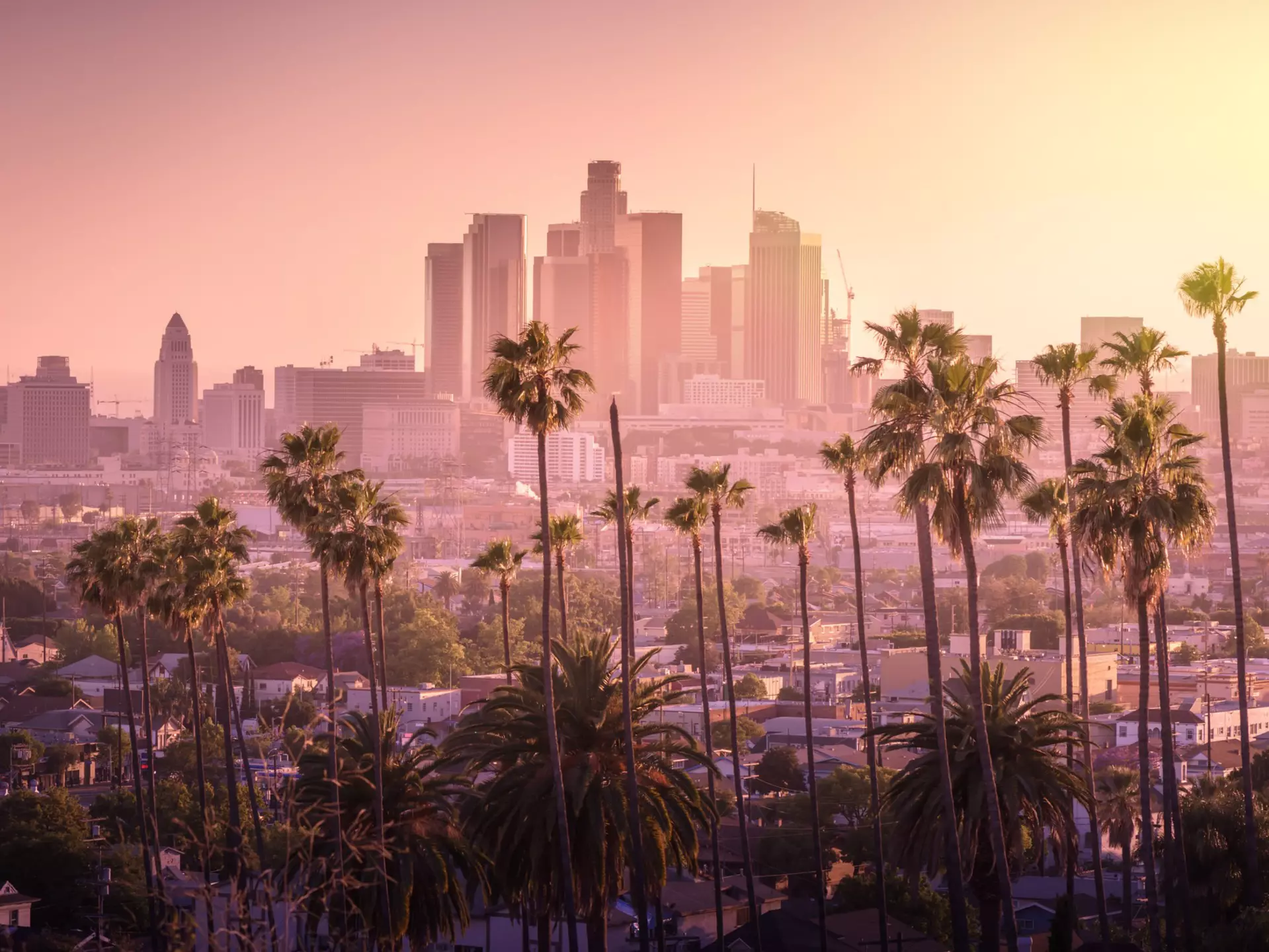 Sunset over downtown Los Angeles with palm trees in the foreground.
633629336
america, angeles, architecture, beautiful, blue, building, business, california, city, cityscape, dark, district, downtown, dtla, dusk, evening, famous, financial, freeway, highway, hollywood, illuminated, intersection, la, landmark, light, los, modern, night, office, orange, palm, purple, red, road, silhouette, sky, skyline, skyscraper, street, sunset, traffic, trails, transportation, travel, tree, twilight, urban, usa, yellow