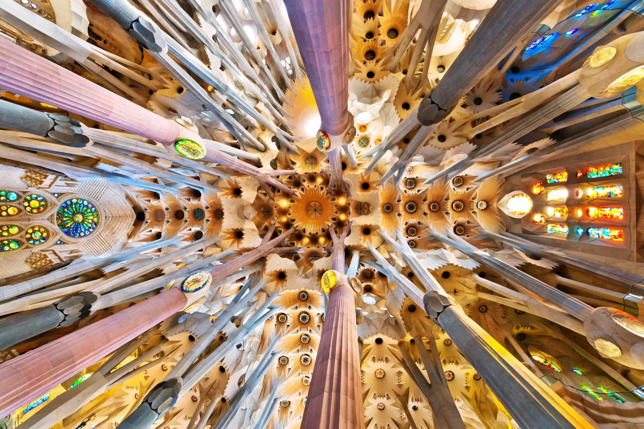 The church ceiling inside of La Sagrada Familia © Nikada/Getty Images