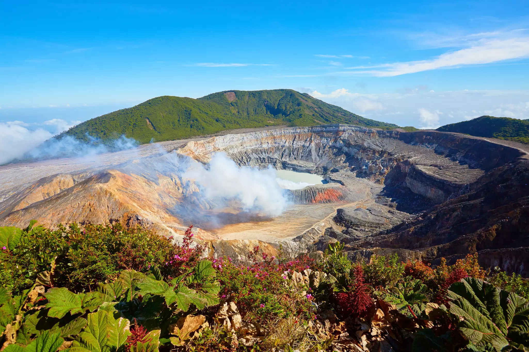 A lake at the center of a volcanic crater with steam rising from the earth nearby.
