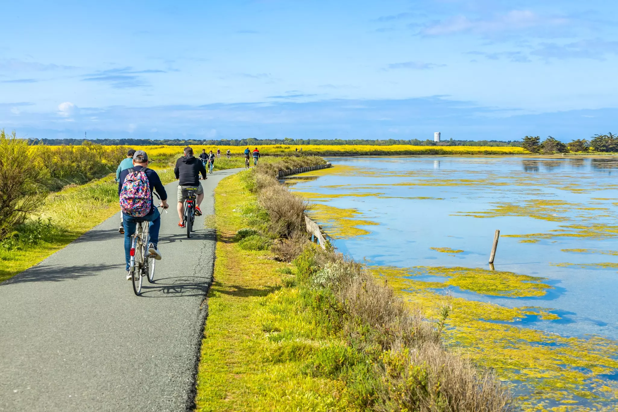 Cyclists pedal bikes along a path near a marsh in a flat watery landscape.