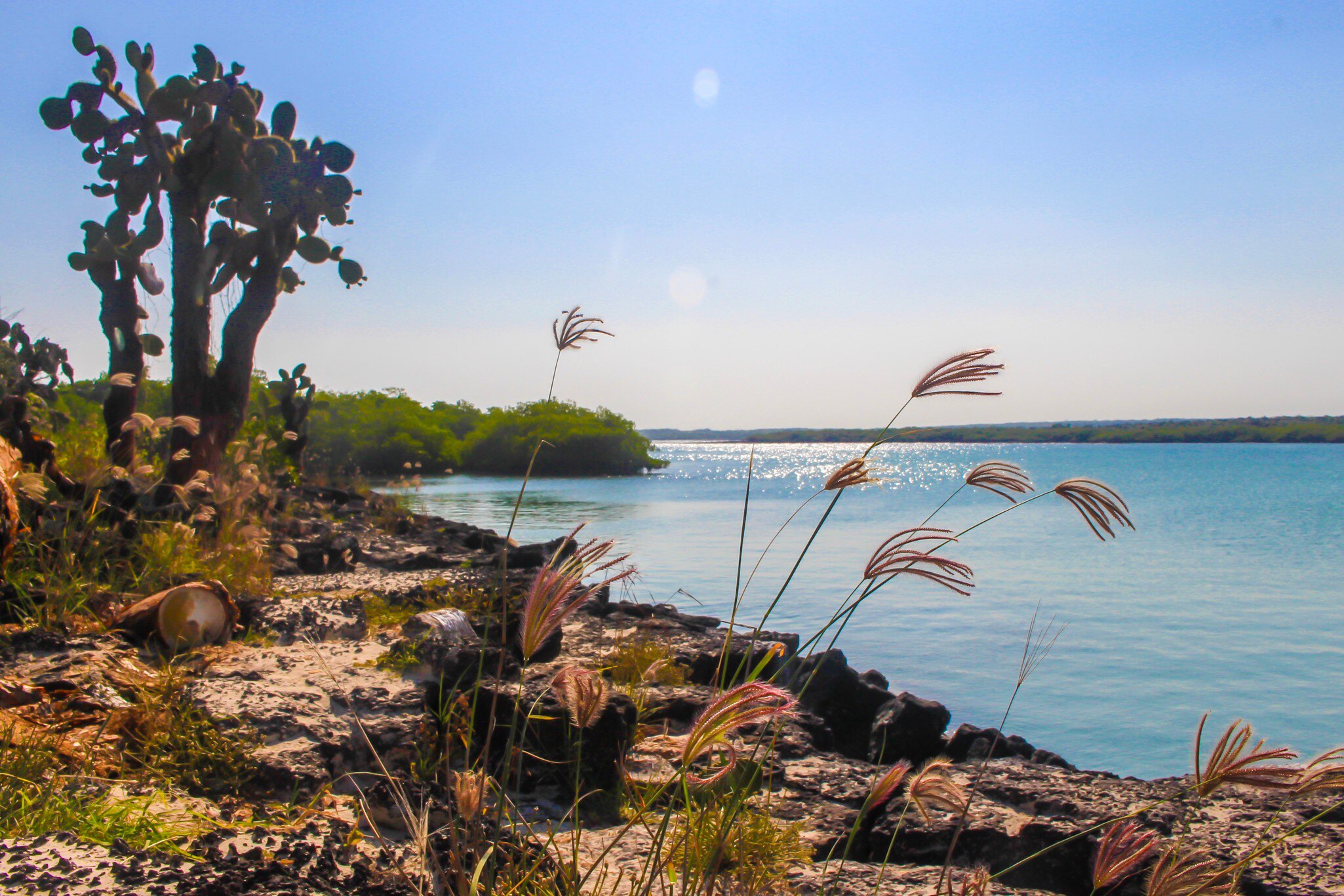 Rocky shoreline at Playa Mansa, Galapagos Islands, Ecuador.