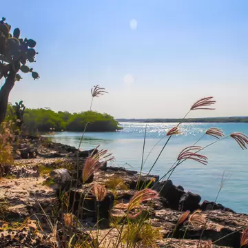 Rocky shoreline at Playa Mansa, Galapagos Islands, Ecuador.