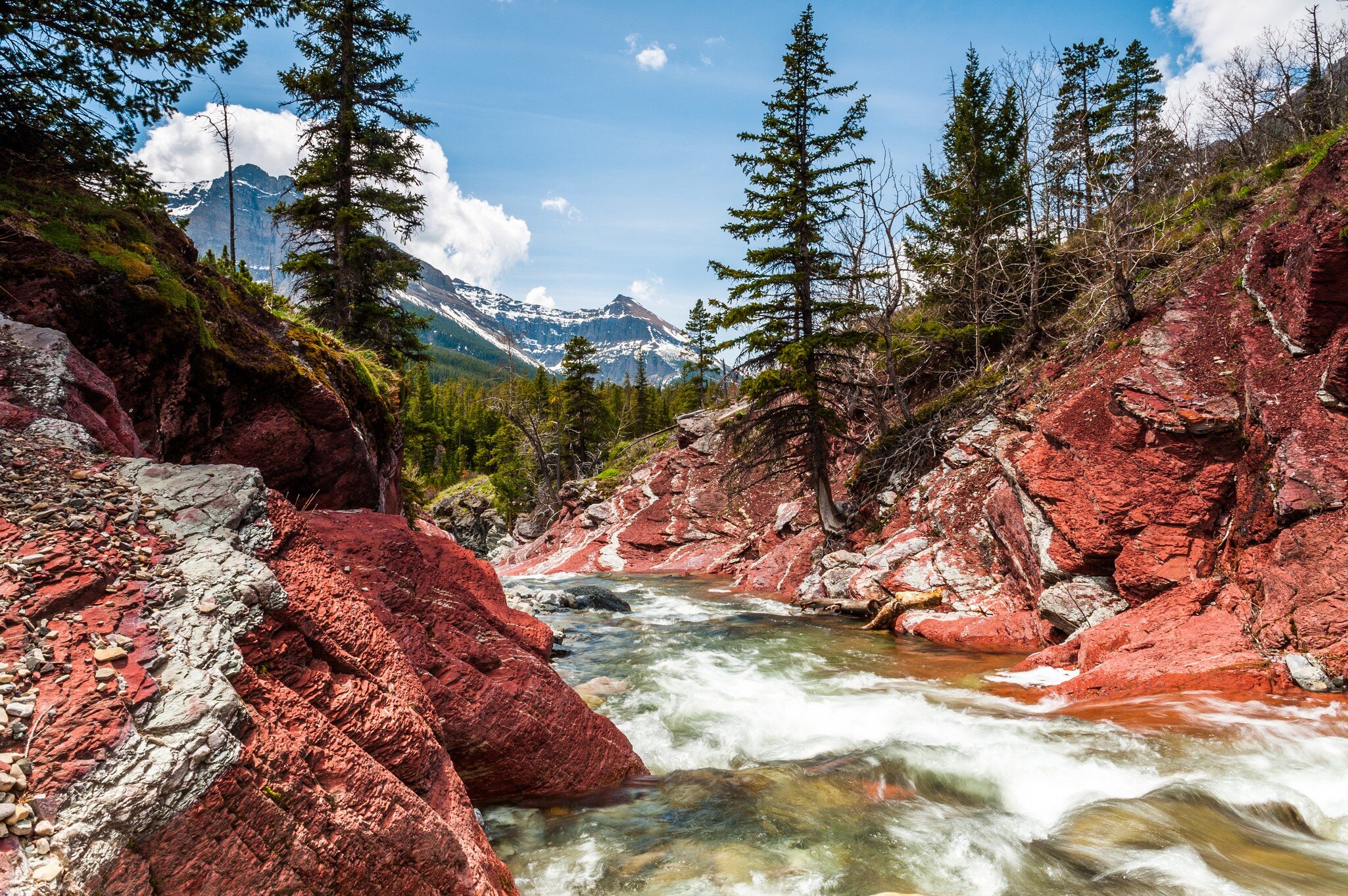 Red Rock creek in motion and canyon in Waterton Lakes National park, alberta, canada; Shutterstock ID 366870593; purchase_order: 65050; job: ; client: ; other: