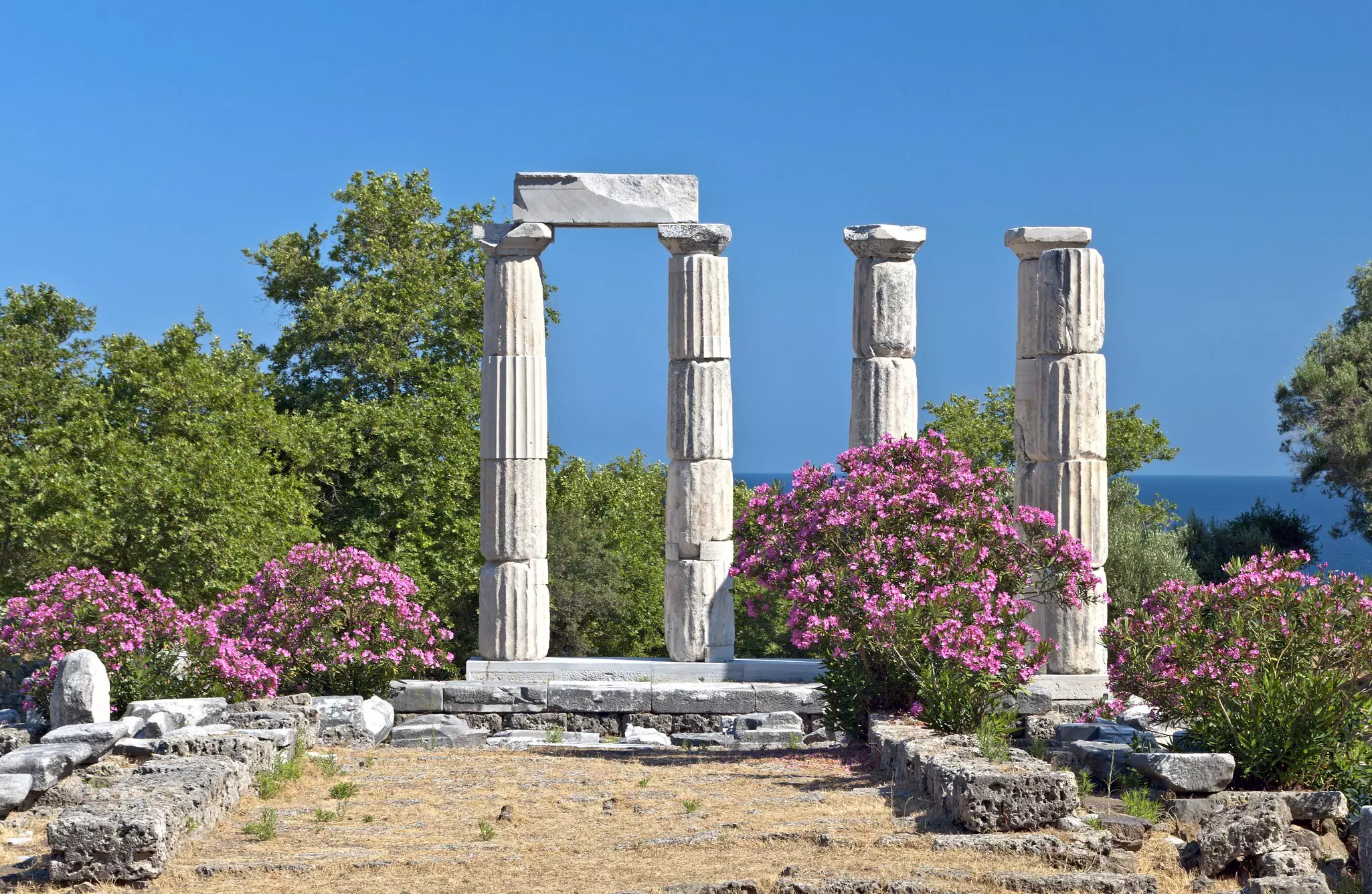 Greek temple ruins overlooking the sea and surrounded by flowers