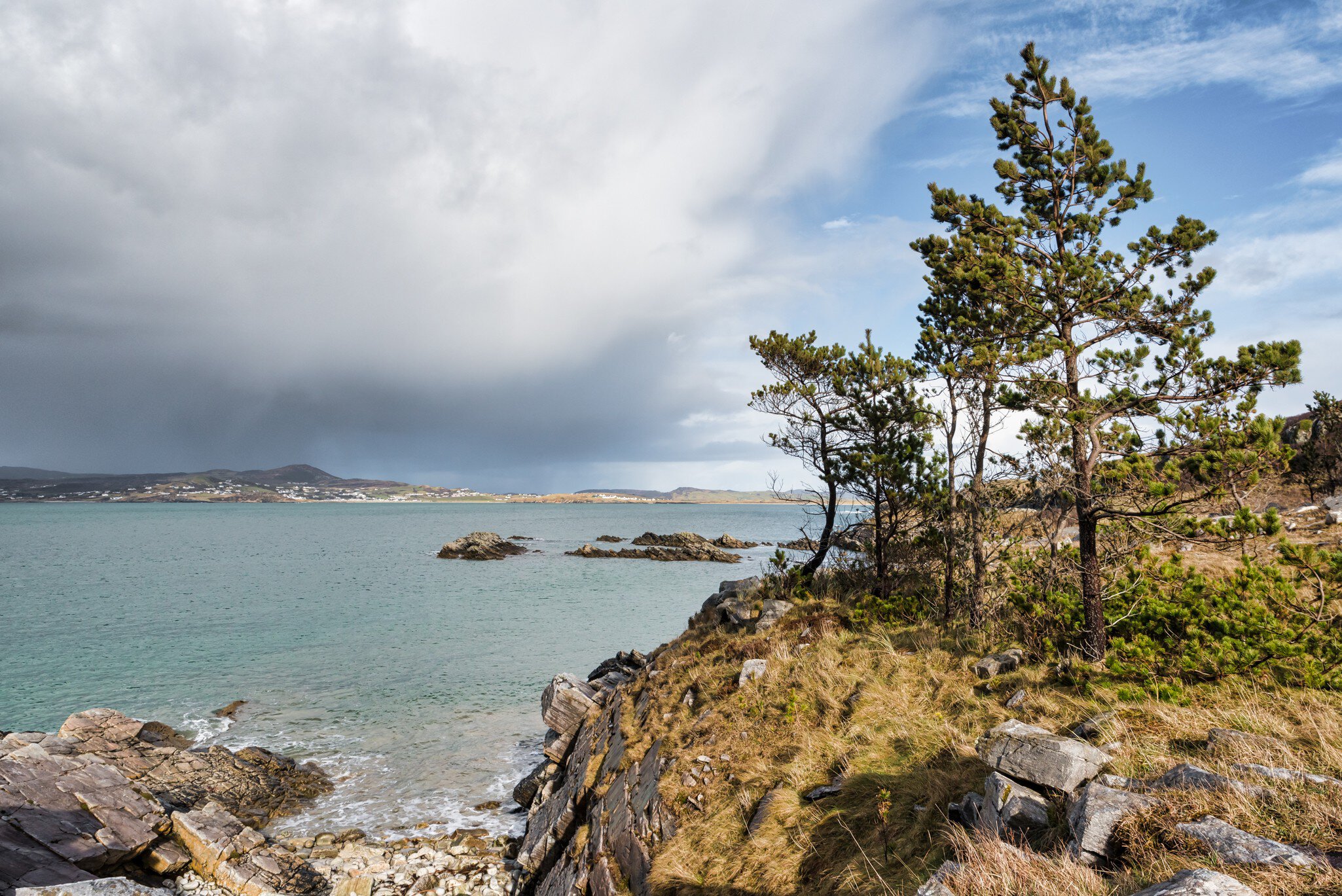 Pine trees one the rocky shores of Ards Forest Park in Donegal A rain storm can be seen in the distance