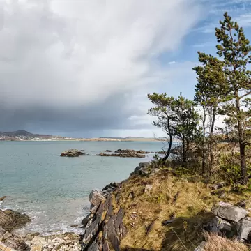 Pine trees one the rocky shores of Ards Forest Park in Donegal A rain storm can be seen in the distance