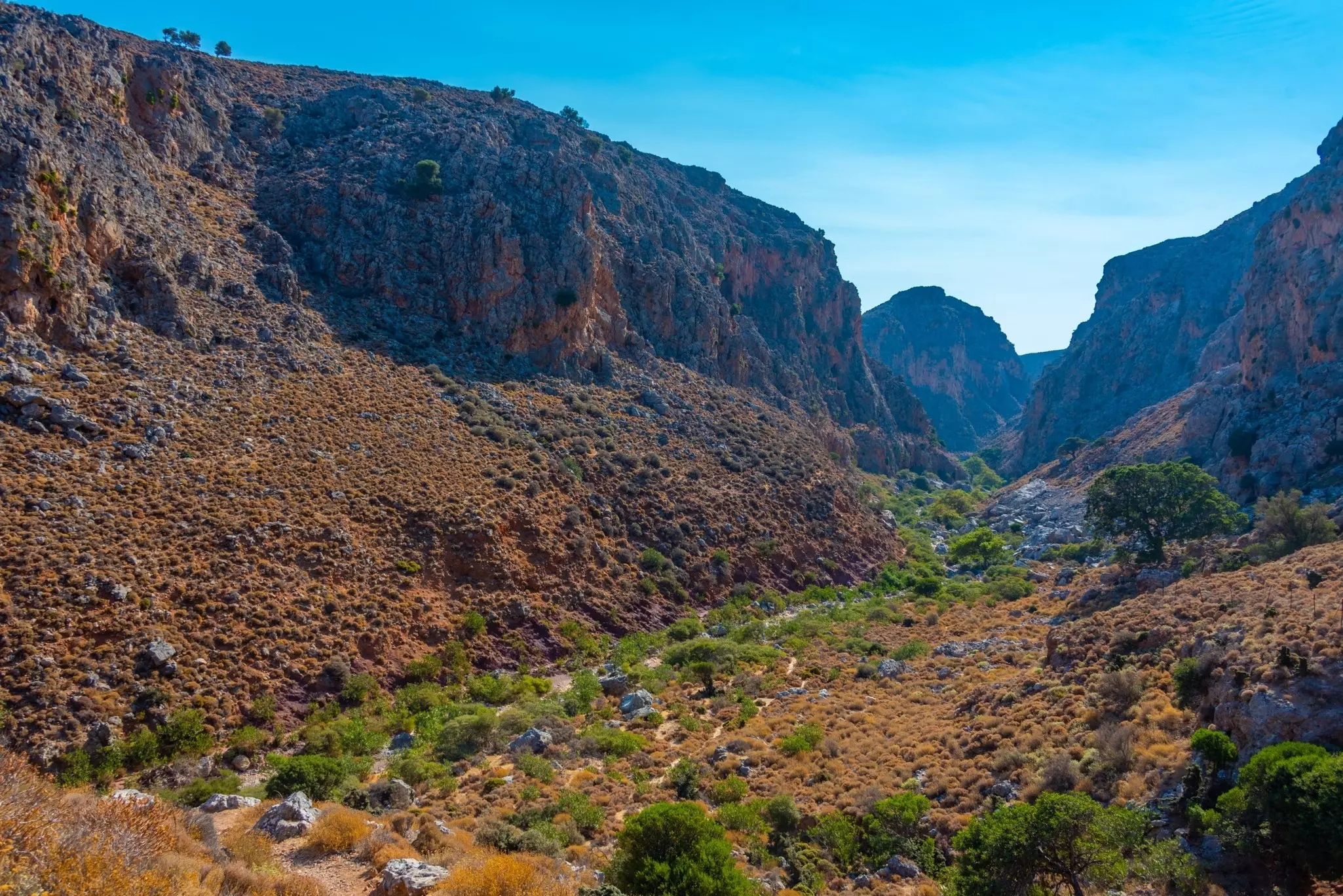 A wide view of a canyon with towering rock walls and vegetation at its center, under blue skies, Zakros Gorge, Crete