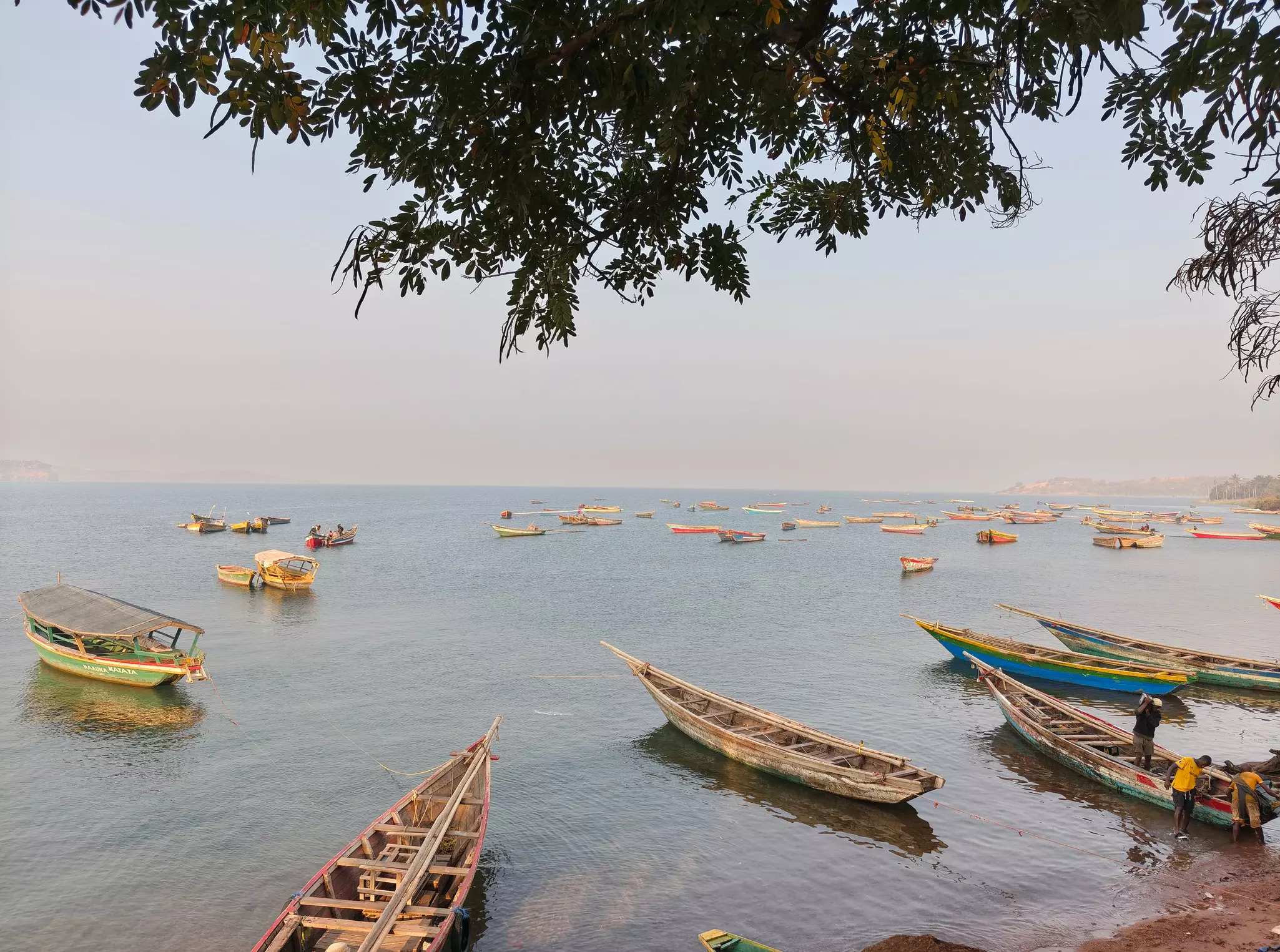 Empty wooden boats moored along the coast of Lake Tanganyika, Tanzania. 