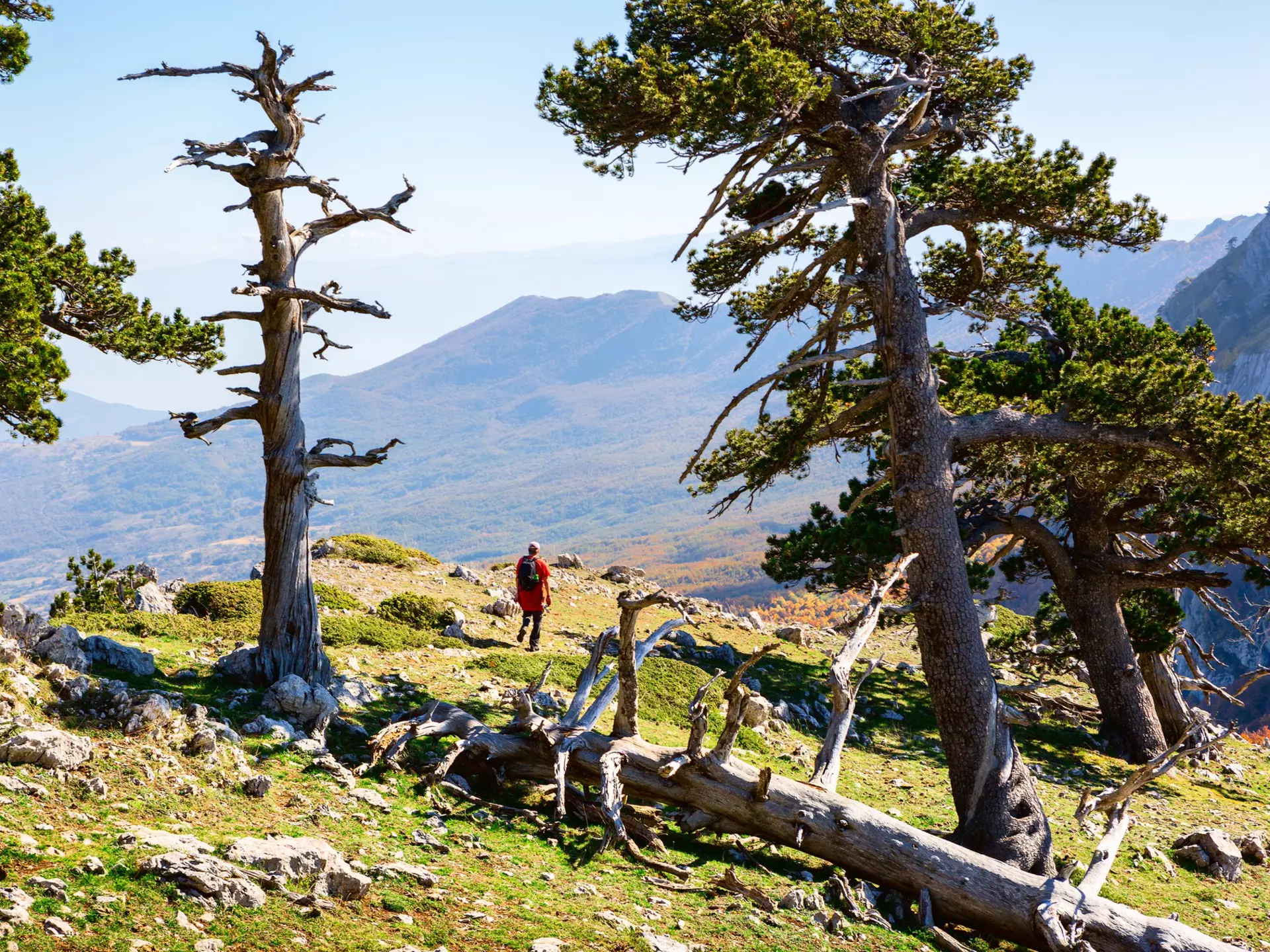 Serra di Crispo mountain (Garden of Gods) in the Pollino National Park. Nella/Shutterstock