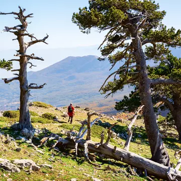 Serra di Crispo mountain (Garden of Gods) in the Pollino National Park. Nella/Shutterstock