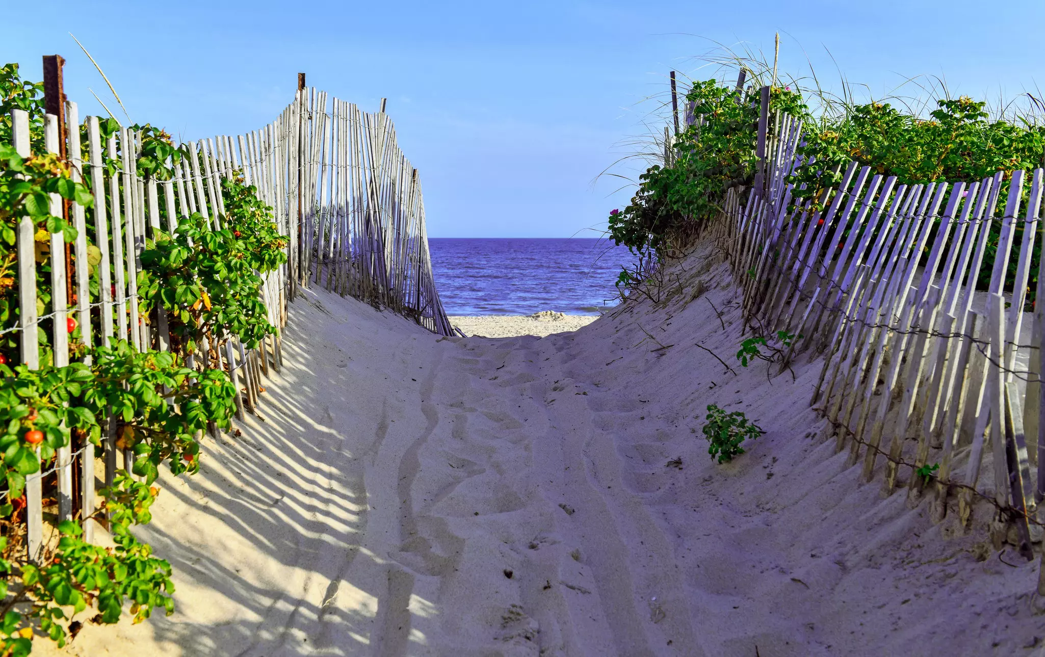 A sandy path leading down to the blue ocean.