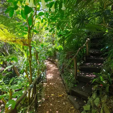 Wendy Whiteley's Secret Garden on a warm summer's morning in Lavender Bay, Sydney, New South Wales, Australia.