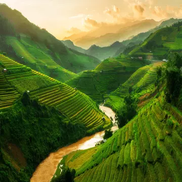 Terraced rice field landscape near Sapa in Vietnam. Mu Cang Chai Rice Terrace Fields stretching across the mountainside, layer by layer reaching up as endless, with about 2,200 hectares of rice terraces, of which 500 hectares of terraces of 3 communes such as La Pan Tan, Che Cu Nha and Ze Xu Phinh.
624183176
Vietnamese Ethnicity, Travel, Non-Urban Scene, Environmental Conservation, Landscaped, Grass, Harvesting, Scenics, Vietnamese Culture, Curve, Journey, Green Color, Rough, Cultures, Famous Place, Tropical Climate, Environment, Agriculture, Nature, Rural Scene, Farmer, Sa Pa, Lao Cai Province, Vietnam, Asia, Crop, Rice - Cereal Plant, Plant, Season, Mountain, Valley, Plantation, Rice Paddy, Terraced Field, Field, Meadow, Landscape, Rain, House, Home Interior, Farm, Residential District, Rice - Food Staple, Food, mu, Chai, Yen Bai, Mu Cang Chai
