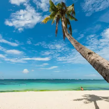A tall palm tree leans over a white sand beach, with turquoise sea and a lone sunbather under a blue sky.