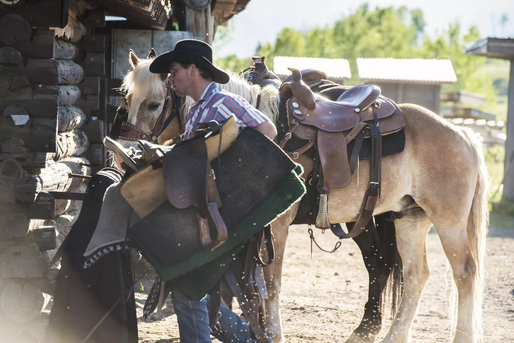 A cowboy with a horse in Montana