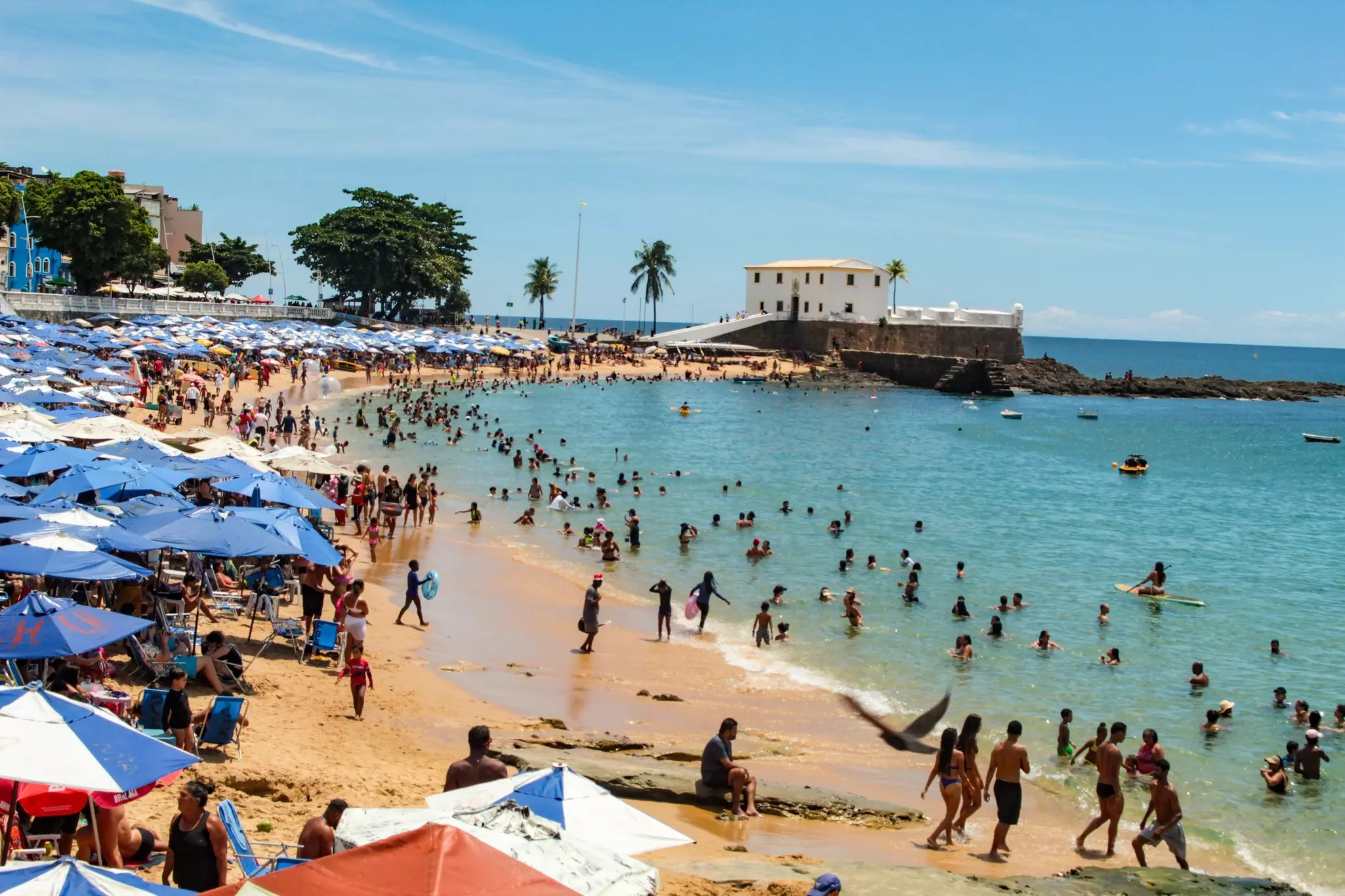 Many umbrellas on Porto da Barra beach, with Santa Maria Fort in the background, in the city of Salvador, Bahia, northeastern Brazil, Salvador Bahia, 