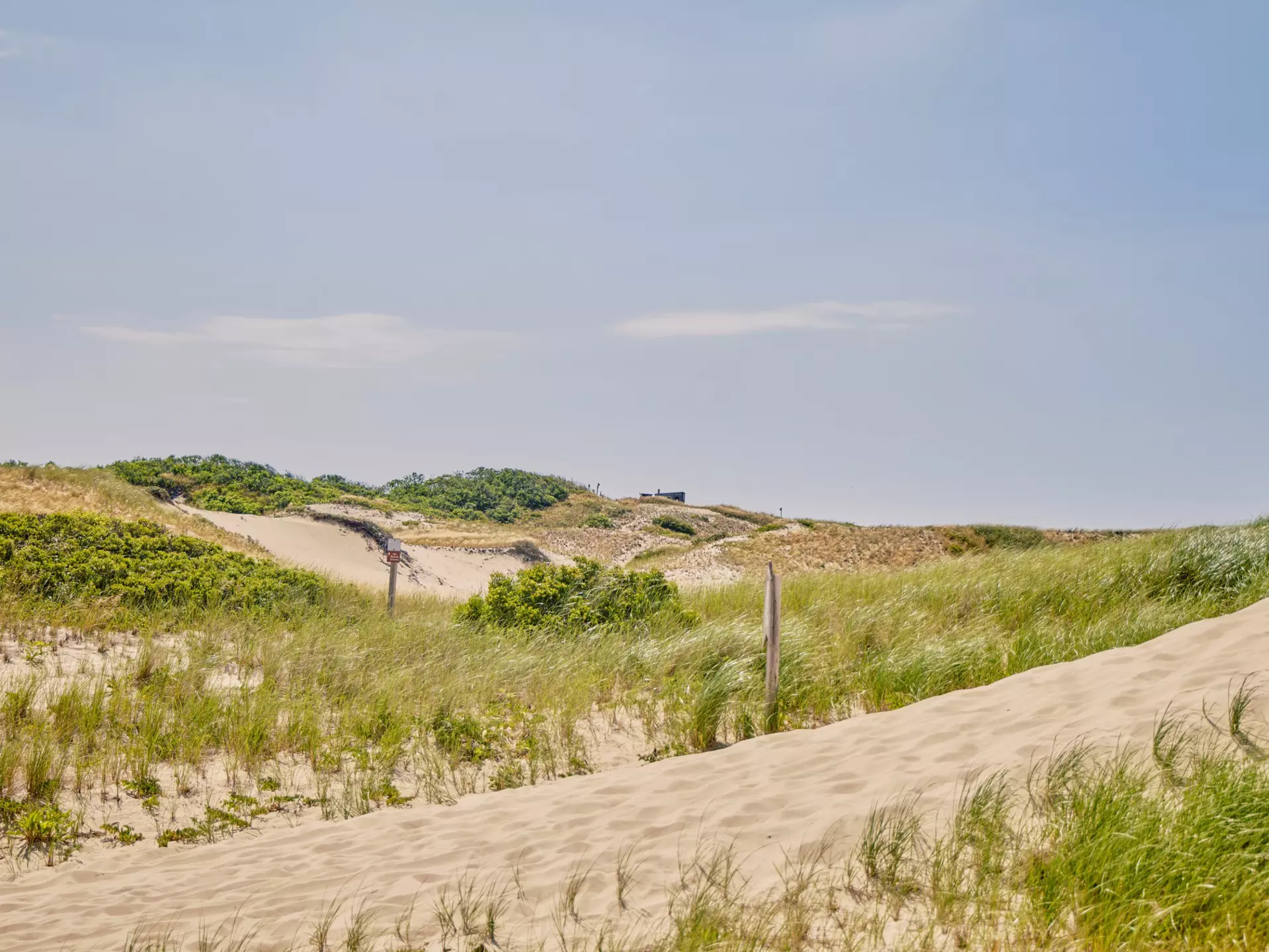 An aerial view of Mo'orea, a volcanic island in French Polynesia