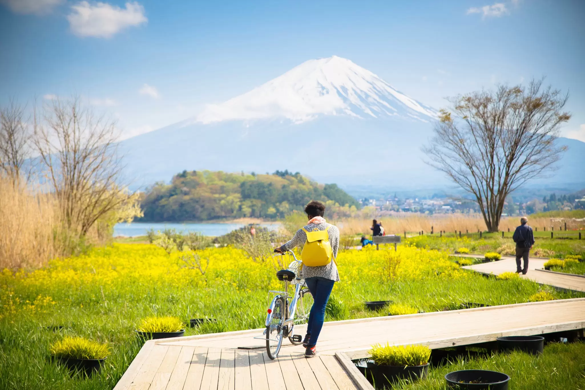 Mt Fuji seen across Lake Kawaguchiko, Japan