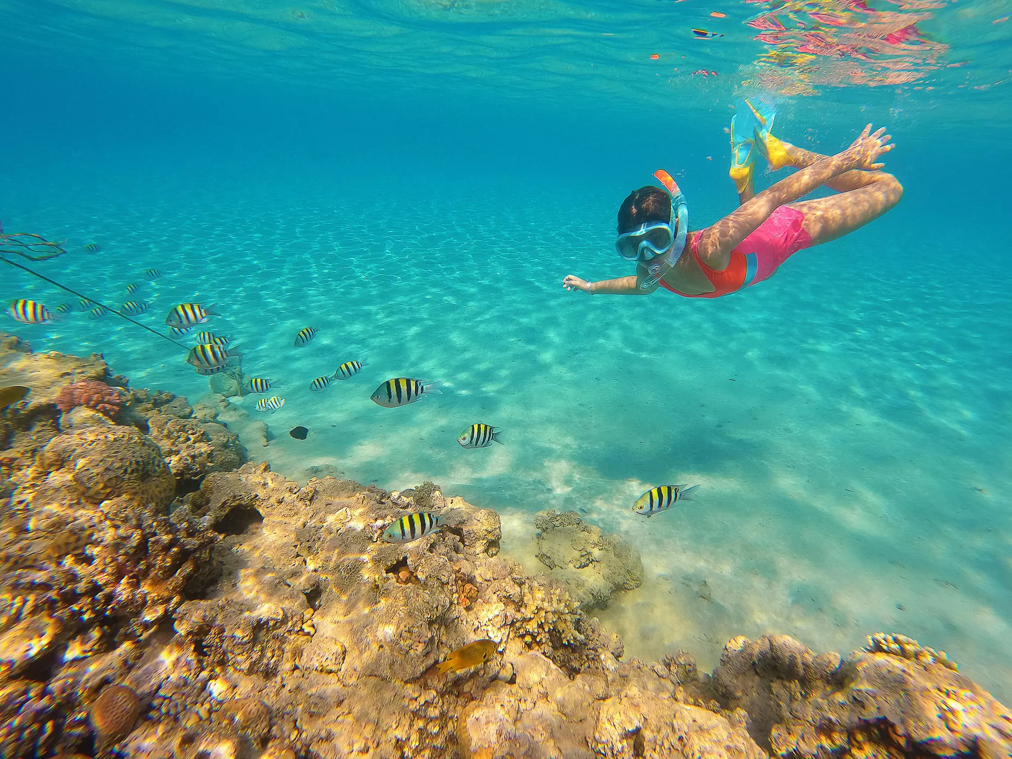 Kids love spotting fish in Egypt's Red Sea © Sebastian Condrea / Getty Images