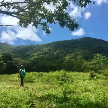 A woman hikes through a field near Guanaja