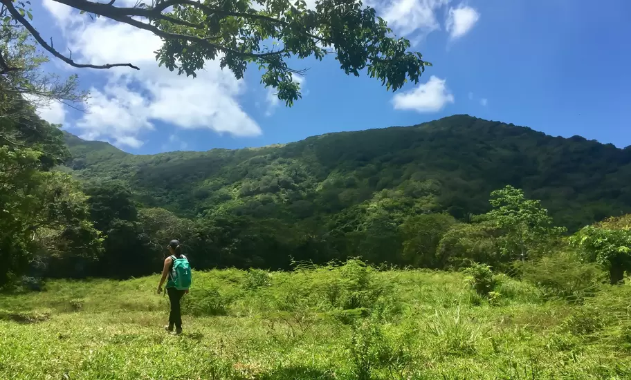 A woman hikes through a field near Guanaja