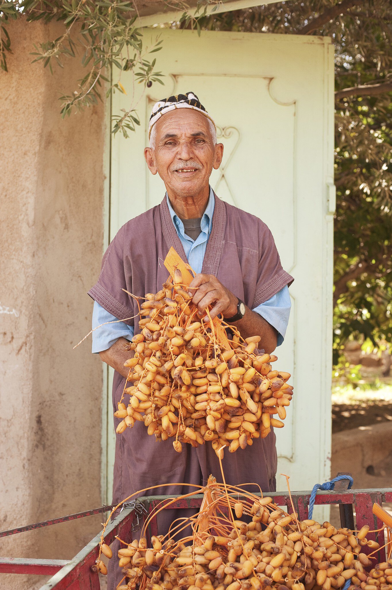 Date farmer with cart full of dates in village of Tazaka.