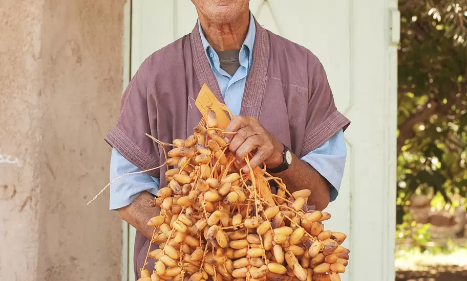 Date farmer with cart full of dates in village of Tazaka.