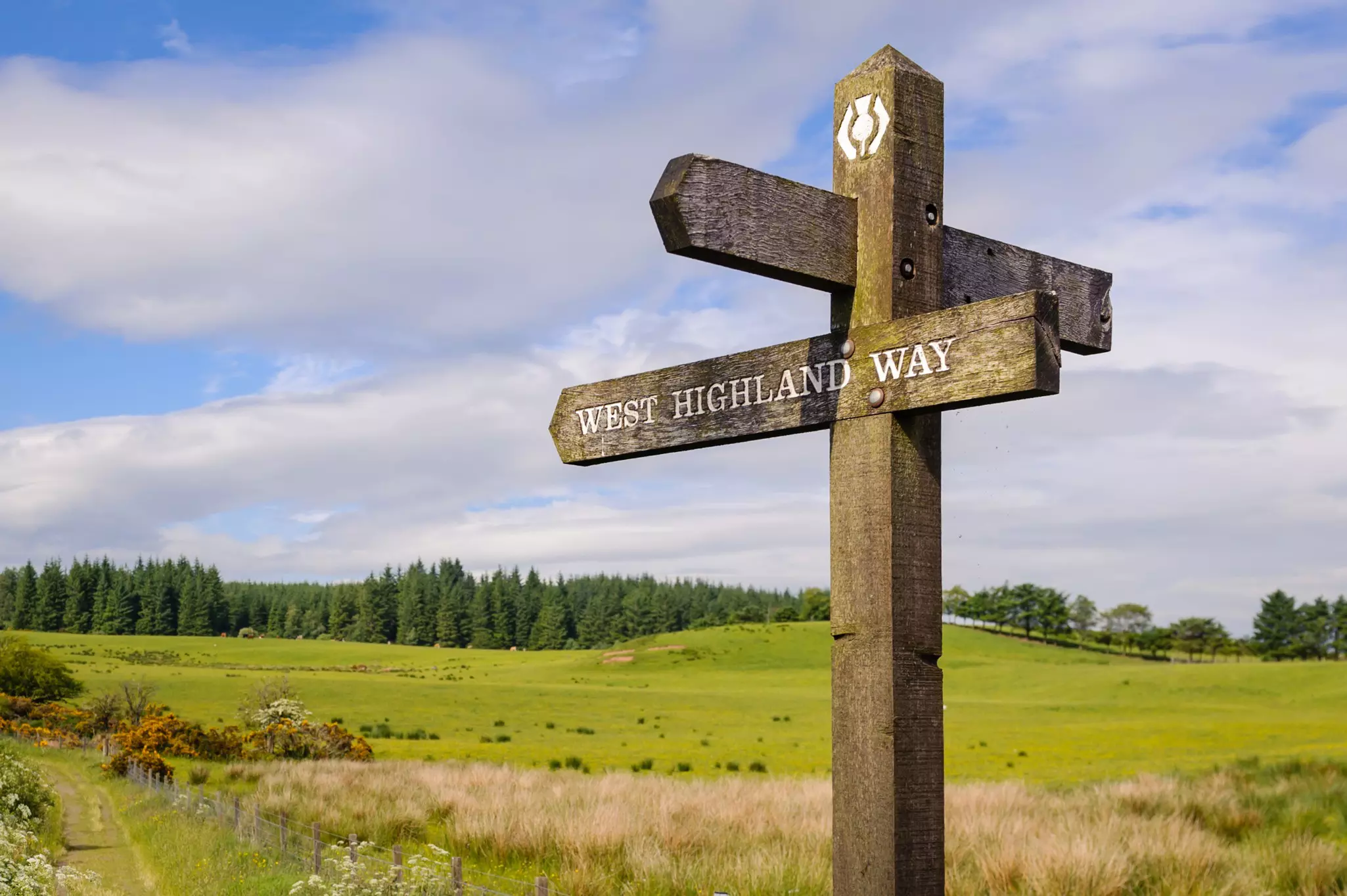 A wooden sign post on the West Highland Way, Highlands, Scotland.