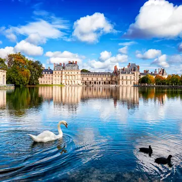 A swan swims on a lake in front of a grand palace