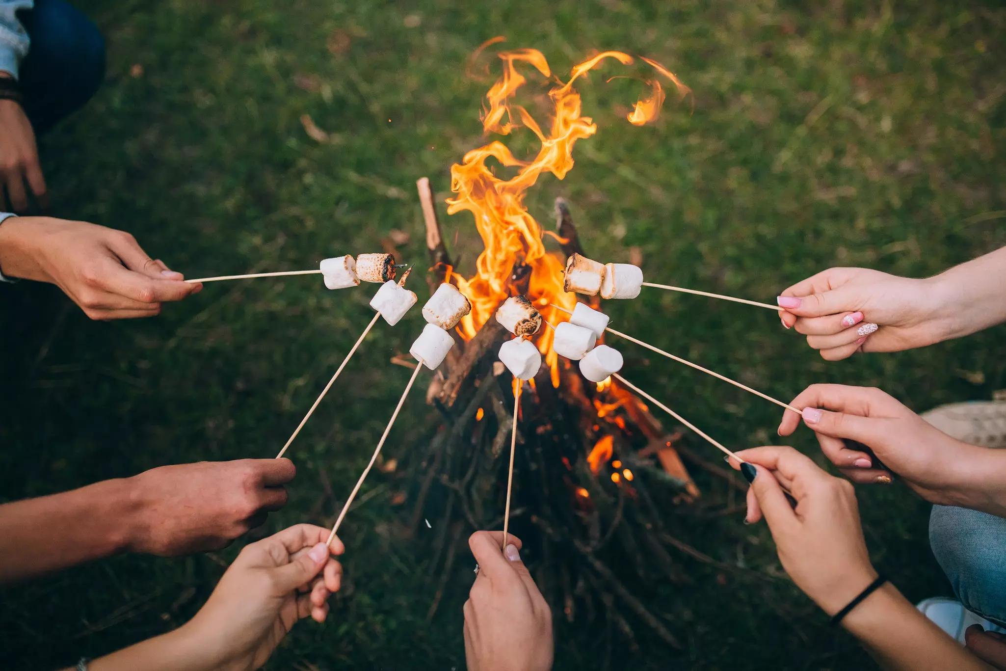 Hands holding marshmallow on skewers
