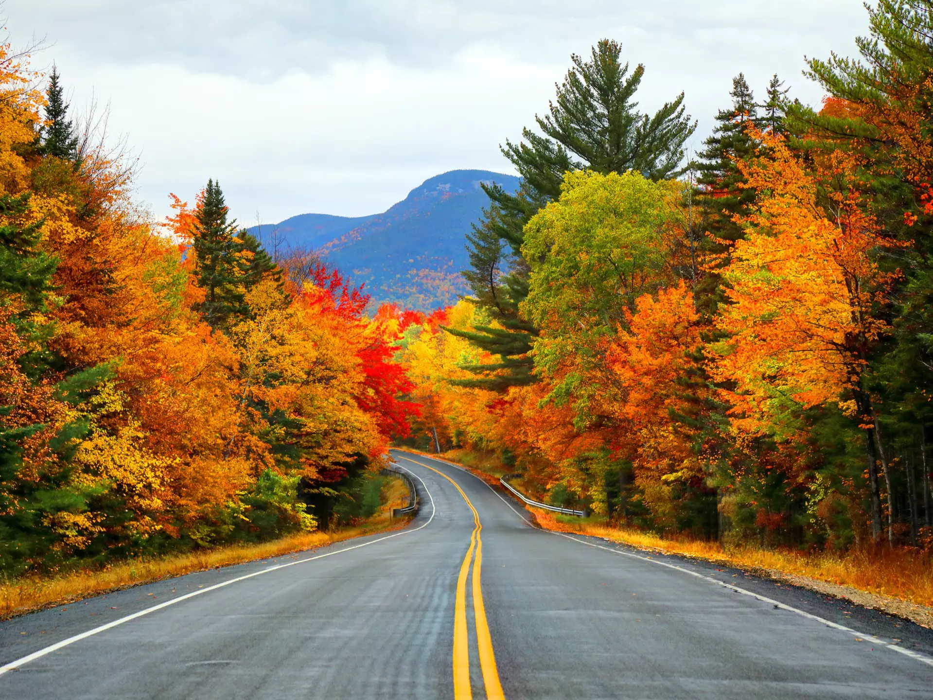 An empty road in the White Mountains of New Hampshire during autumn.
841380450
White Mountain National Forest, Road Trip, Travel, Road, Highway, Multi Colored, Conway - New Hampshire, Scenics - Nature, Street, Falling, Beauty In Nature, Tree, Photography, Landscape - Scenery, Mountain, Country Road, Vacations, New Hampshire, Mountain Pass, AutotagModeratelyAuthentic - Do Not Delete, Travel Destinations, Horizontal, Vibrant Color, Arts Culture and Entertainment, Colors, Lush Foliage, New England - USA, Mountain Range, White Mountains - New Hampshire, Autumn, Autumn Fashion Collection, Wilderness, USA, Season, Appalachia, Journey, Leaf, Forest, Mountain Peak, Four Seasons